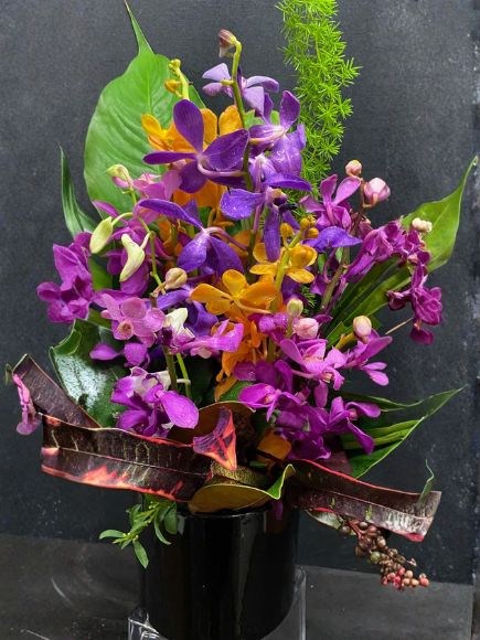 orchids galores